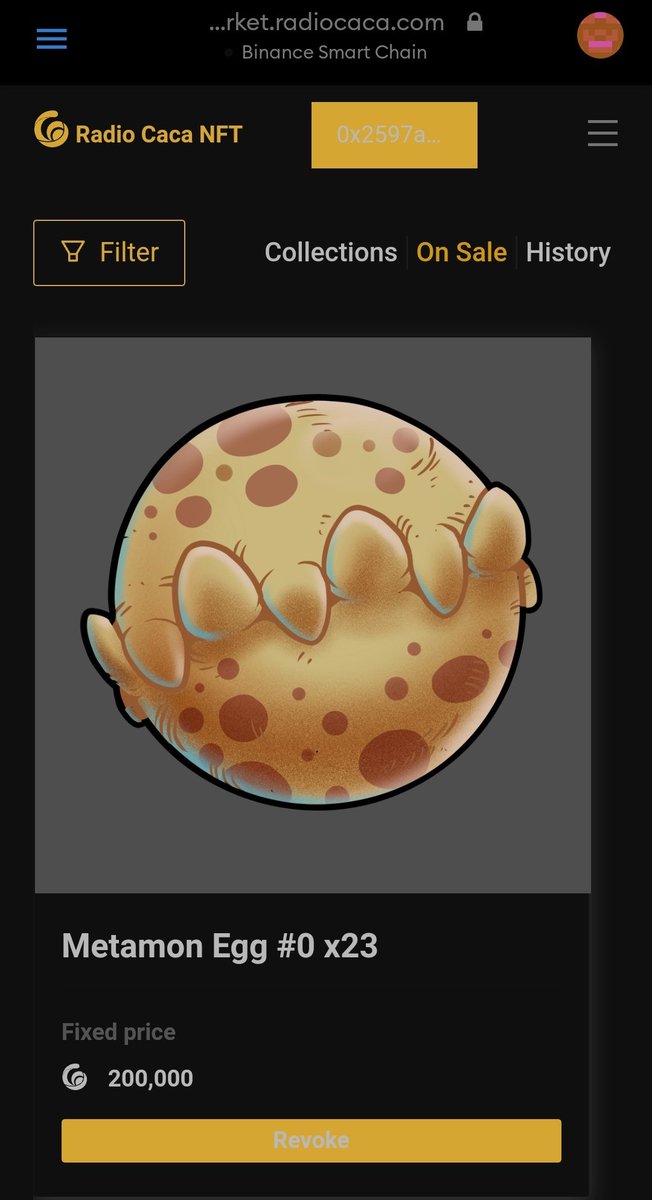 nesh_web3's tweet image. RACA PUNK #RacaPunk @RadioCacaNFT #RadioCacaNFT. GETTING RACA PUNK IN THE #METAMON EGGS. REALLY AWESOME, VERY FUN.

#RADIOCACA #NFT #RadioCacaNFT #BTC #ETH #BNB #RACA $RACA #MetamonIsland #Metamon #Metaverse #PlayToEarn #p2e