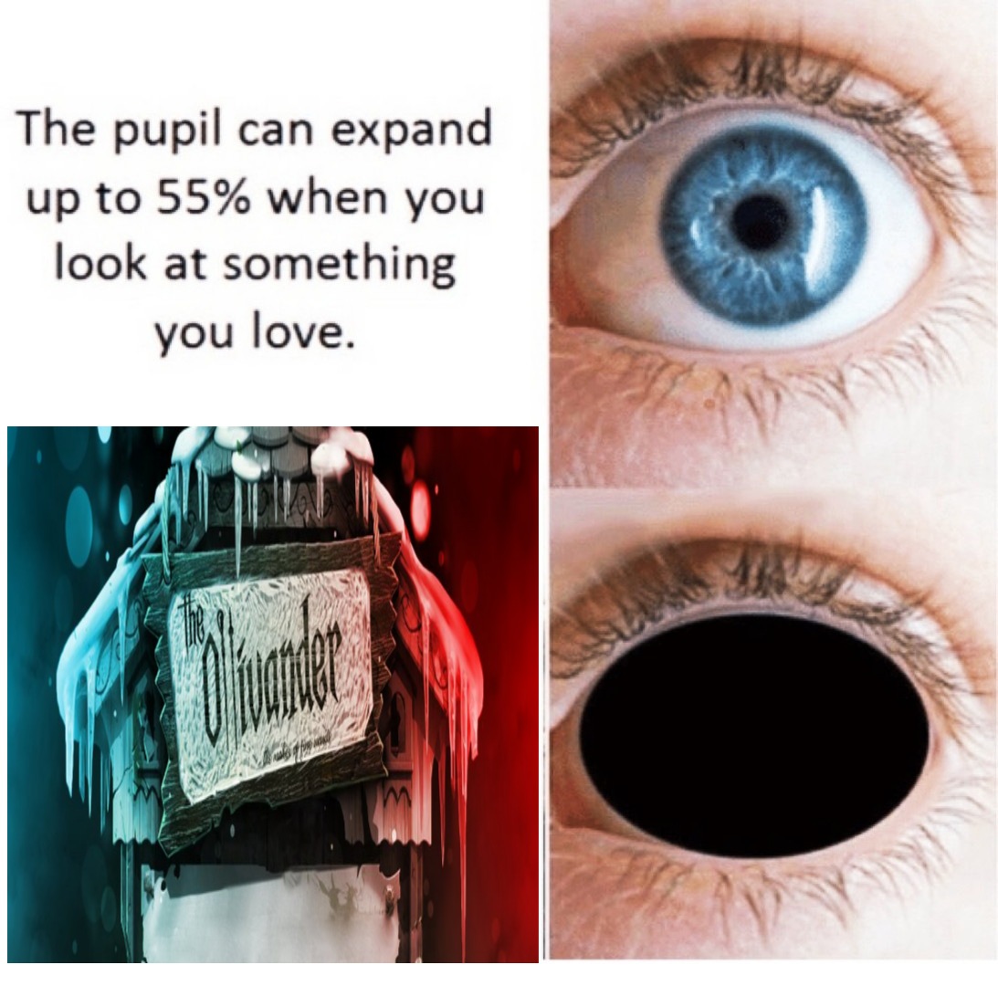 <a href="/TheOllivander/">enriches designs</a> <a href="/Everyone/">Everyone</a> My entry