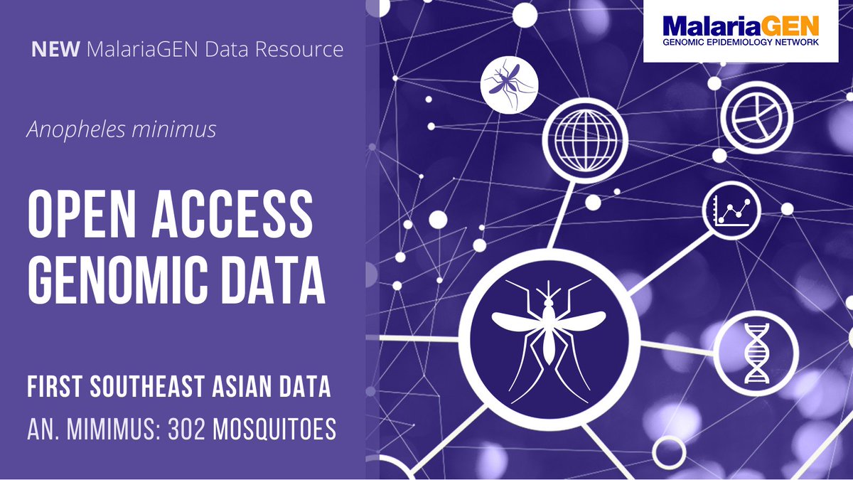 A NEW #anopheles open access data resource. First Southeast Asian #genomic data on An. minimus. A new opportunity for bioinformaticians, analysts or mathematicians interested in #malaria .

📣 bit.ly/3rg7GT1
