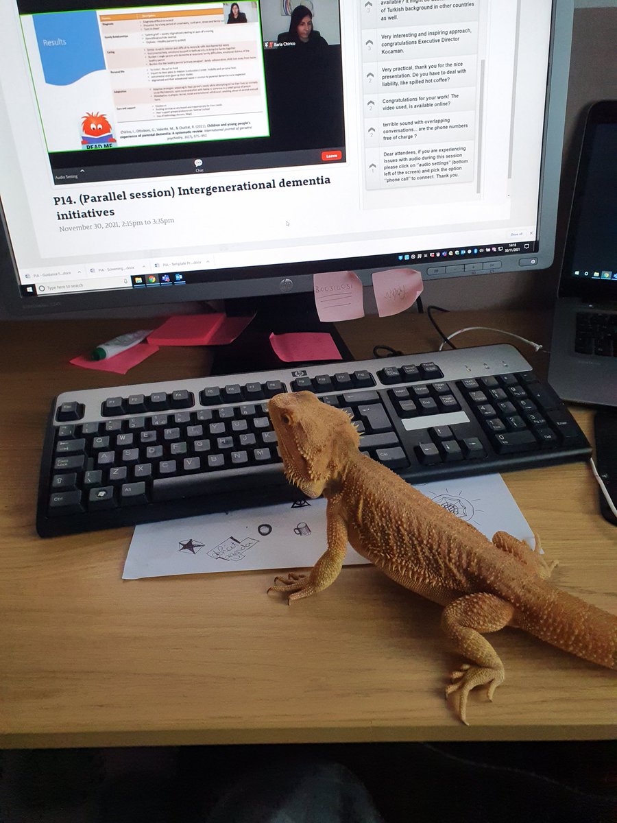 Dr Louise Ritchie (@lourit) on Twitter photo Zarry the bearded dragon getting involved with #Petsof31AEC and enjoying the intergenerational dementia session. He's hoping for multispecies dementia presentations next year #31AEC  <a href="/Multispeciesde1/">Multispeciesdementia</a> Zarry the bearded dragon getting involved with #Petsof31AEC and enjoying the intergenerational dementia session. He's hoping for multispecies dementia presentations next year #31AEC  <a href="/Multispeciesde1/">Multispeciesdementia</a>