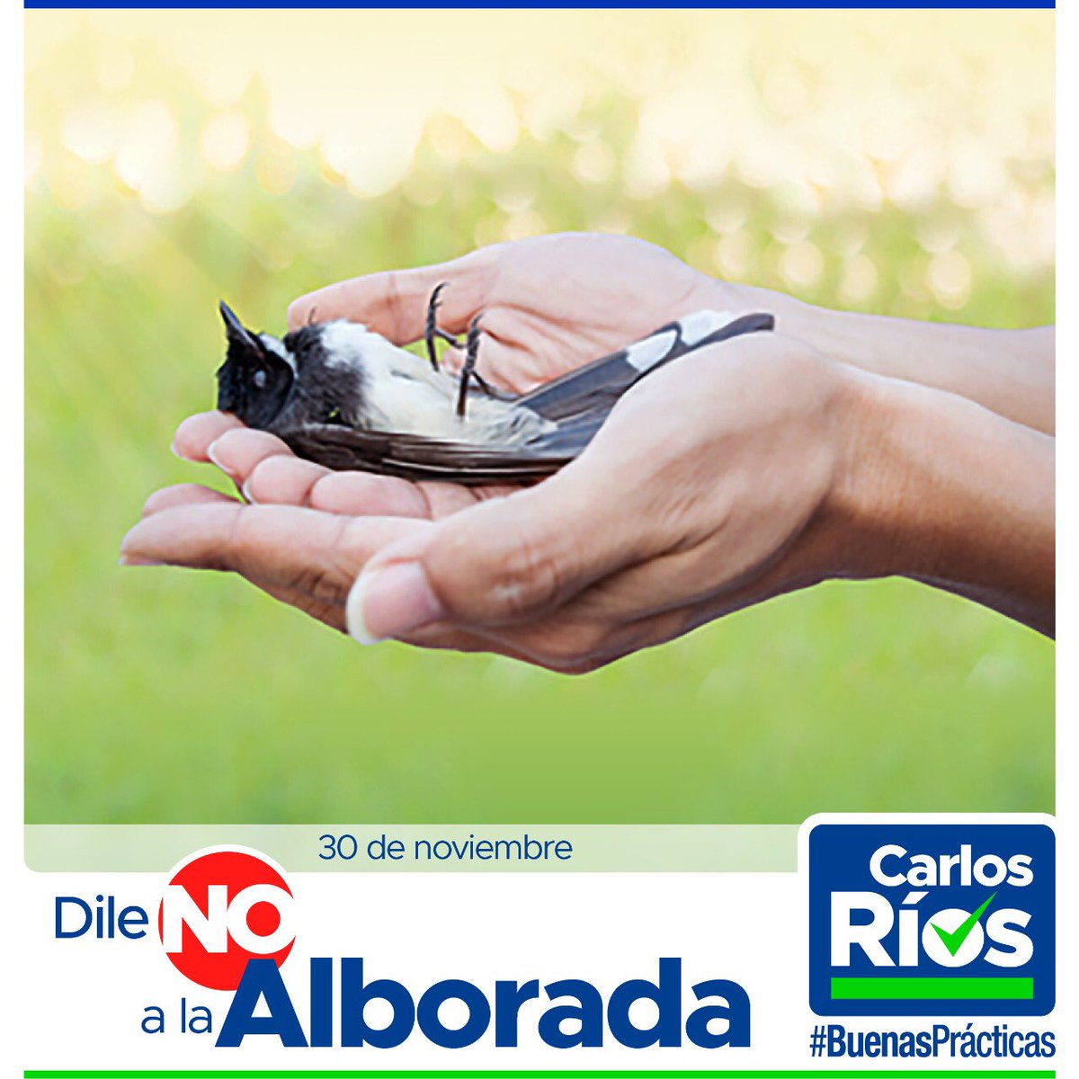CarlosjRiosc's tweet photo. Con convicción hacemos un llamado, #NoPolvora #NoAlborada.
@SenadorTrujillo @DanielRestrepoC @LucasCanasJ @darioscua https://t.co/4hj0MrA48B
