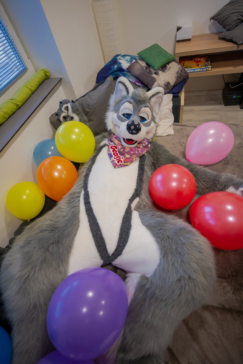 Georgie_woofy's tweet photo. Heey! Let's keep this party going, especially since it's #TayytheFurTuesday
What? I don't care that it's already morning... c'mere and drink with me *hic* 🥴🥃🎉 
I'm just gonna...*hic* lay down over here...you catch *hic* up with drinking... 💤

📸 @ZleekWolf 
🧵 @CraftyVulpine https://t.co/ShbVnlBkDo