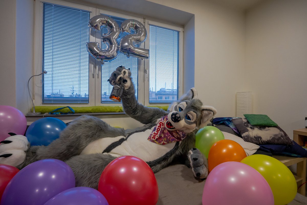 Georgie_woofy's tweet photo. Heey! Let's keep this party going, especially since it's #TayytheFurTuesday
What? I don't care that it's already morning... c'mere and drink with me *hic* 🥴🥃🎉 
I'm just gonna...*hic* lay down over here...you catch *hic* up with drinking... 💤

📸 @ZleekWolf 
🧵 @CraftyVulpine https://t.co/ShbVnlBkDo