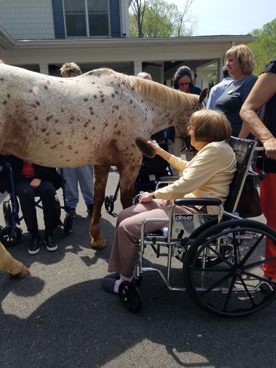 It's Power Hour #1 and we are featuring our partnership with Larmax Homes. It is incredible to watch seniors with cognitive and physical impairments experience the #powerofthepony - youtu.be/nNG0EKY7hCc 
Donate now: givelocaltogether.org/NVTRP 🐴♥️ #GivingTuesday #therapyhorse