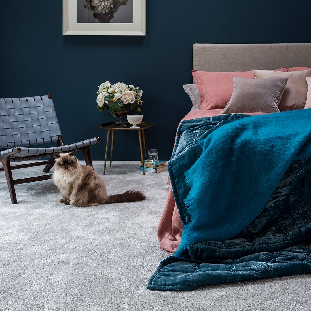 ArchwayCarpets's tweet photo. In our latest blog, we look at Sensual Carpets for the bedroom from @brockwaycarpets, @cormarcarpets, @crucialtrading and @westexflooring. 

https://t.co/TPkDiIgXkV

#bedroomcarpets #luxurycarpets #softcarpets https://t.co/lshPhjiEpm