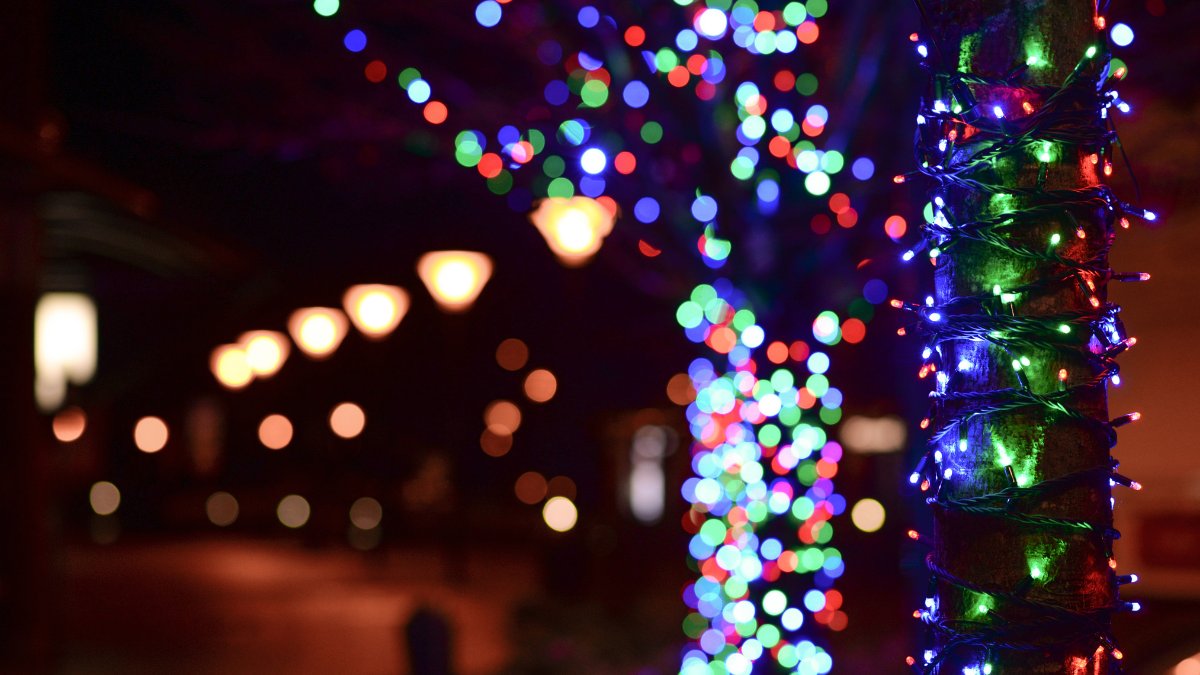 beckworthandco's tweet photo. A Christmas light display is one of the best things about this upcoming holiday season. Take a trip to St. Agustine in Florida, and celebrate this year's 28th Annual Nights of Lights. You get to enjoy the most magical month in the nation's oldest city.
#Christmas #ChristmasEveL https://t.co/AB9bUQvFGf