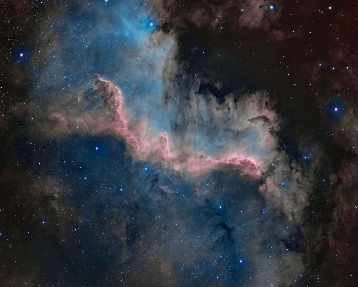 dazza1639's tweet photo. Beautiful #Starnet or #StarXterminator? https://t.co/kBA57TLwDM