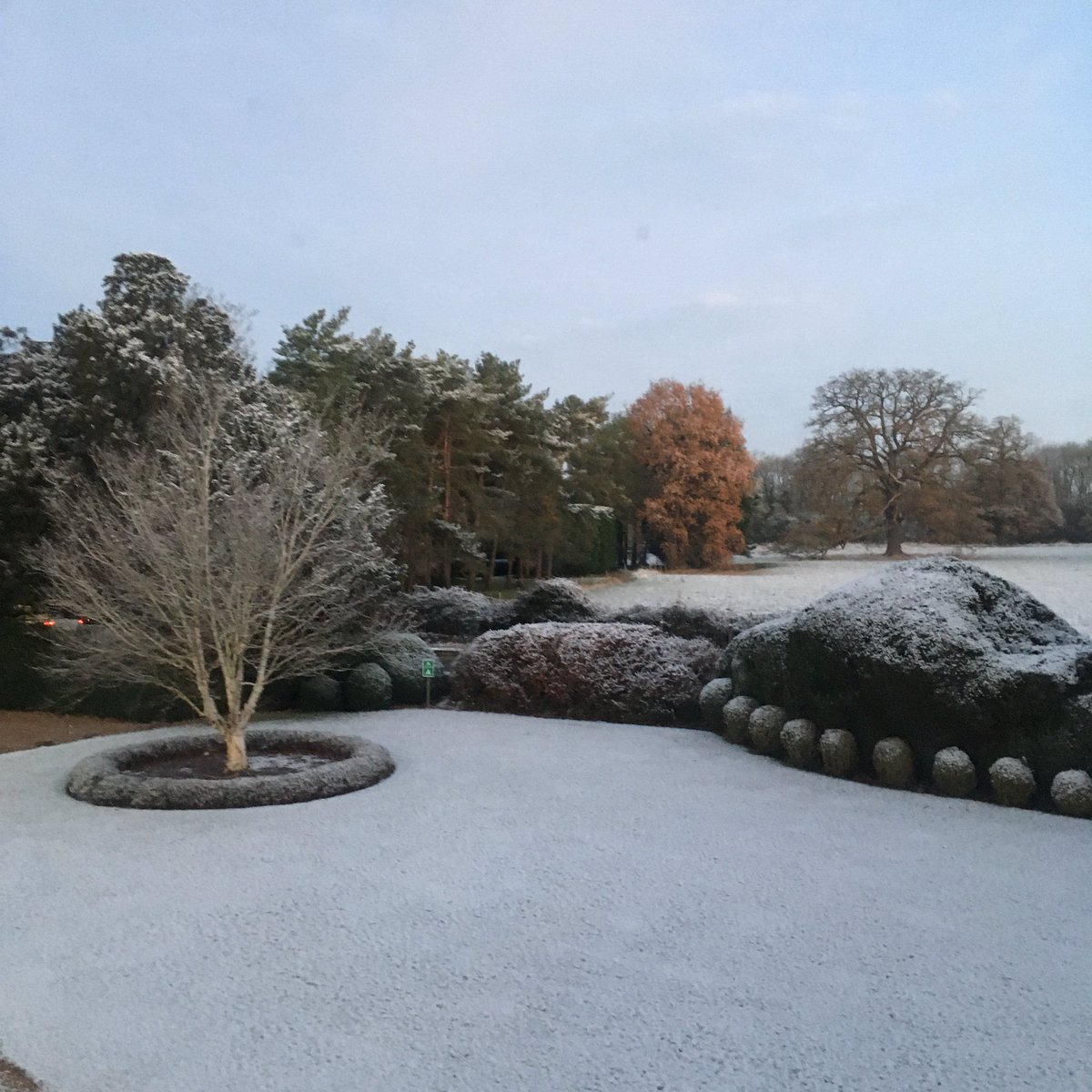srjudithl's tweet photo. #winterdays #bedfordview #coldwalks A bit of a cold snap. Glad it’s warmed up a bit. https://t.co/5zd7AGuQ7Z