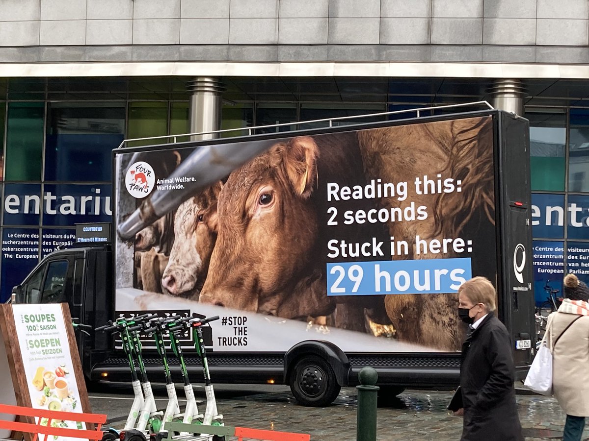 JMCASTILLABARO's tweet photo. También visto hoy una campaña #flashaction por parte de #ONGs de cara a la votación en el #COMANIT (#transporte #animal). Desde el sector tenemos un mensaje claro: el #Reglamento 1/2005 es adecuado y eficaz, garantiza la #trazabilidad y #bienestar de los #animales en la cadena. https://t.co/MdhfwTW22Y