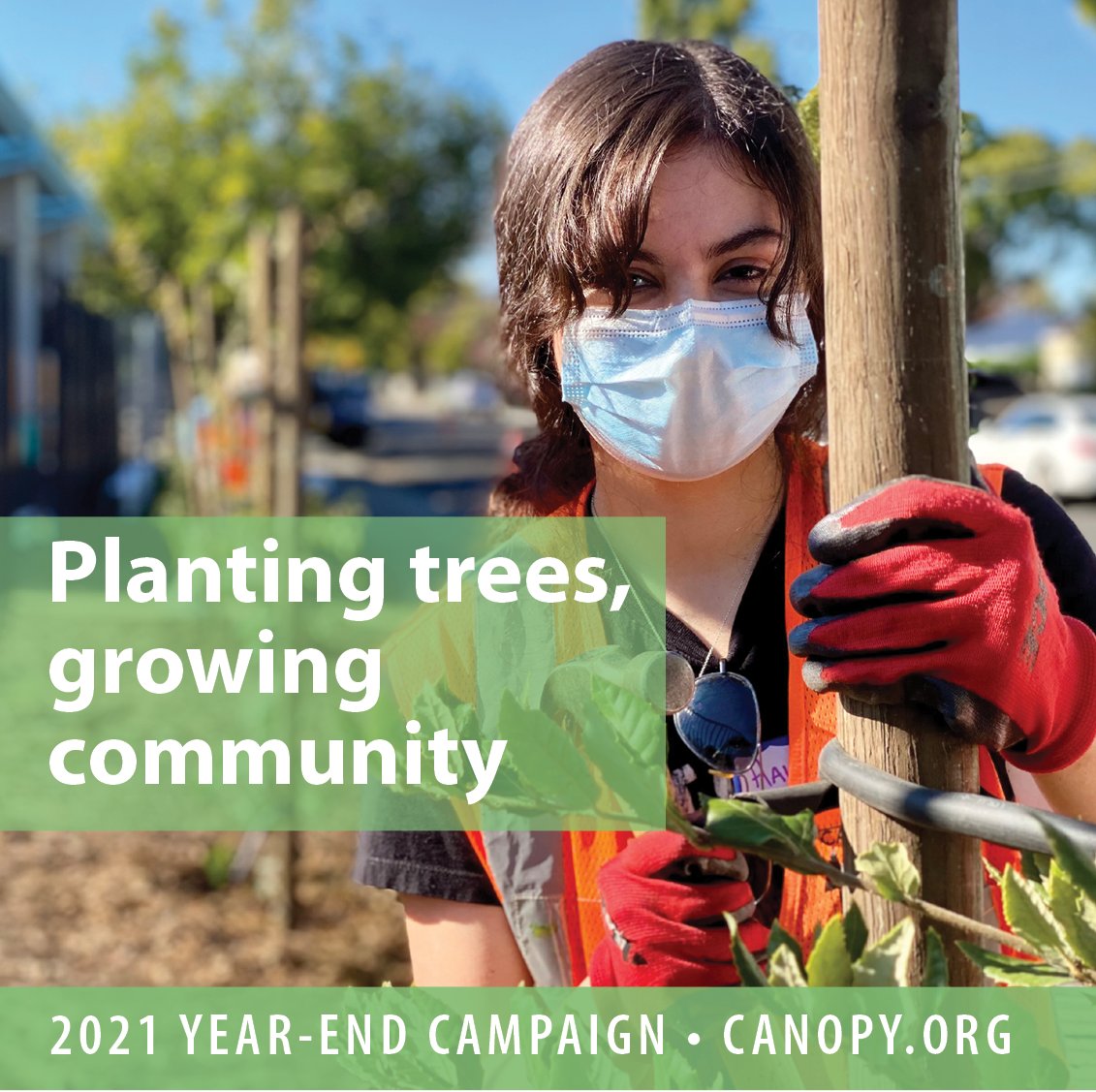 Together, thanks to you, we're making a difference, creating healthier, greener, and more resilient neighborhoods across the Midpeninsula. 

Your gift to Canopy's year-end campaign keeps our education, stewardship, and advocacy work going strong in 2022.
donatenow.networkforgood.org/canopy-giving-…