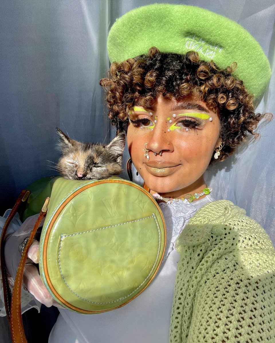 anyeezytaughtme's tweet photo. life update: got a kitten a week ago 🍏
meet yue :) https://t.co/Ws6A0hxutW