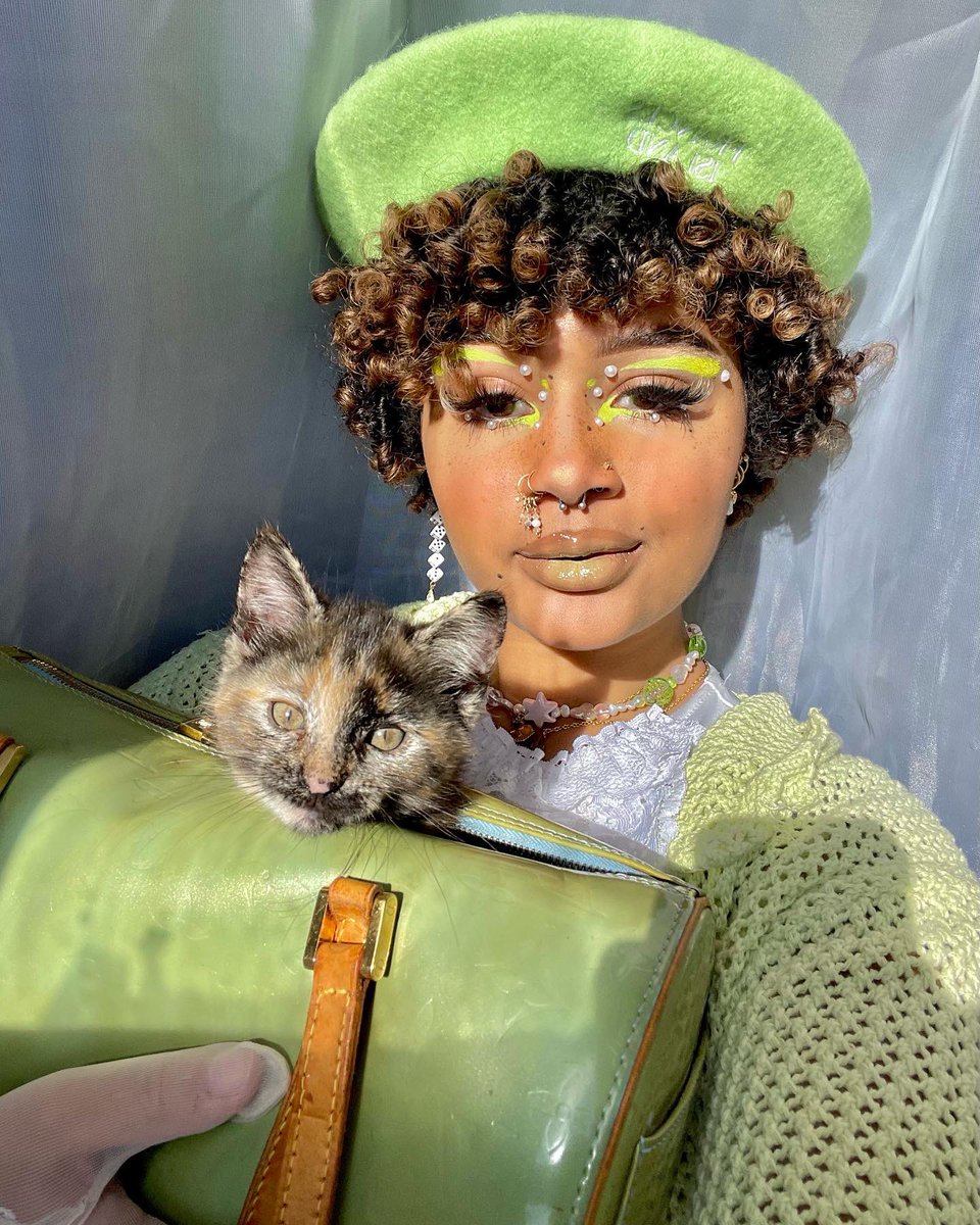 anyeezytaughtme's tweet photo. life update: got a kitten a week ago 🍏
meet yue :) https://t.co/Ws6A0hxutW