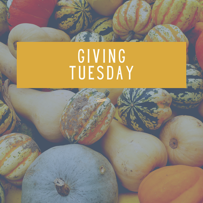 JosephChevrolet's tweet photo. This #GivingTuesday we are encouraging you all to give back! Whether you turn to your favorite causes or charities, today is a great reminder to lift others up during a generous time of year ✨ https://t.co/aVlIFwY0Gm