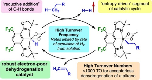 An iridium-based catalyst for dehydrogenation of n alkanes -- new research from <a href="/Goldman_Group/">Goldman Group</a> <a href="/SamuelZhou5/">Samuel Zhou</a> @random_chemist <a href="/alansgoldman/">Alan Goldman</a>. 

Rates are so fast that expulsion of H2 from solution is rate-limiting under typical reaction conditions. pubs.acs.org/doi/10.1021/ac…