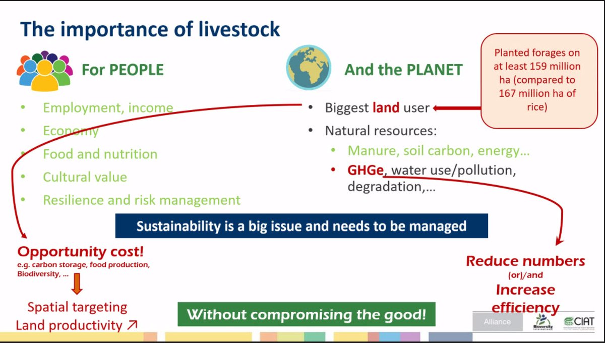 One of the many things I learned from today's webinar: Planted #forages occupy almost as much land as rice!! Thank you, @GAINalliance @ILRI @LandOLakesV37 @corteva @Livestock_CGIAR @BiovIntCIAT_Lib. @Livestock_Lab @drdairy50 @GRSBeef @AmericanForage