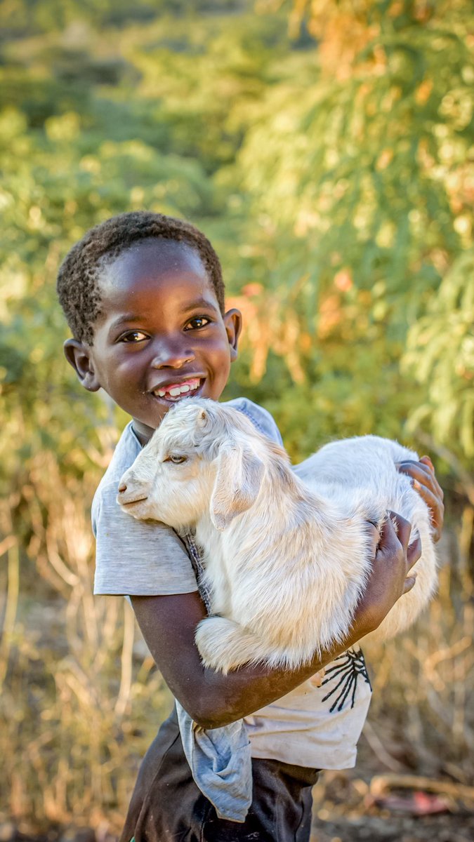 Frances Tiafoe tweet media