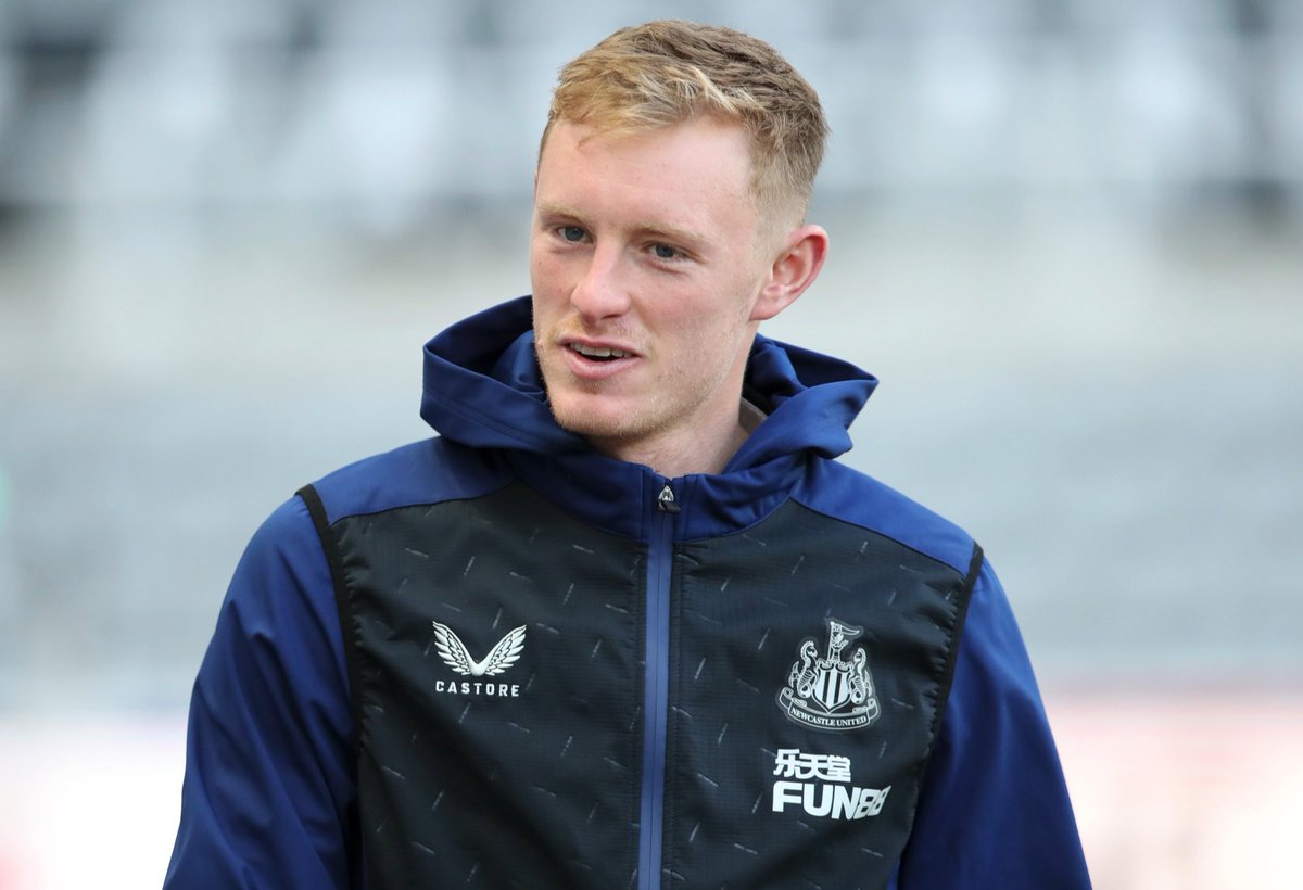 𝗧𝗵𝗲 𝗧𝗼𝗳𝗳𝗲𝗲 𝗕𝗹𝘂𝗲𝘀 tweet media