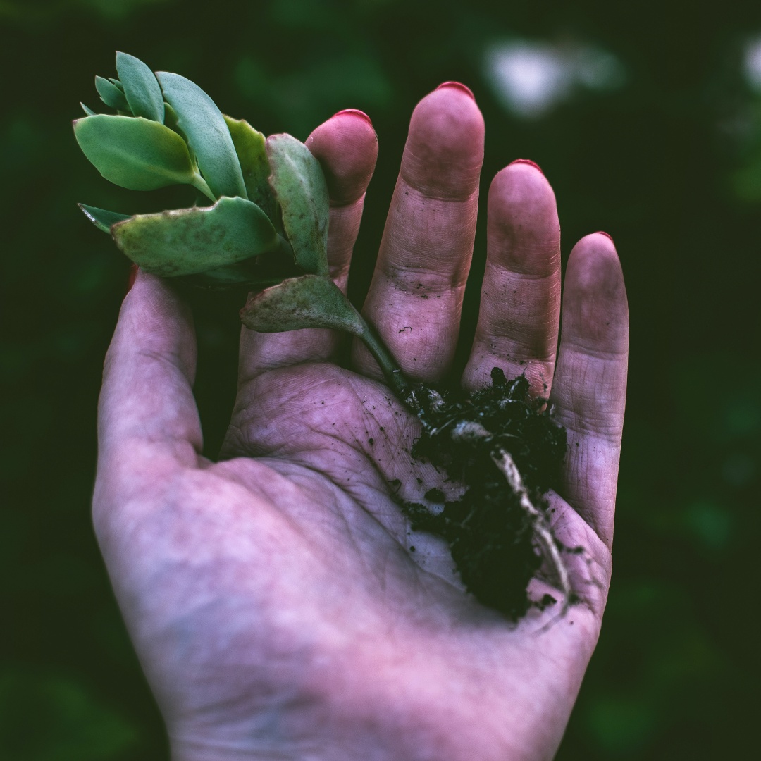 “If we have no peace, it is because we have forgotten that we belong to each other.”

Be a Certified Master Gardener

#nmsu #good #November #garden #gardening #nature