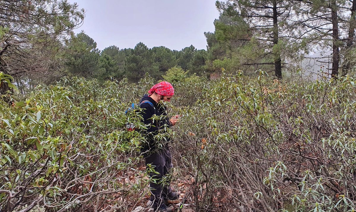 ClubMLinares's tweet photo. Y ahora?...Orientarse en la montaña ⛰ superimportante.Algunos tics...
https://t.co/eOvyFFds7M
#orientarse #senderismo #montaña #naturaleza #turismolinares #ocio
@nordicwalkinguk @club_anyera @clubescaladaCEM @IInfoLinares @JaenTrail @linares28 https://t.co/csOhUjU0nR