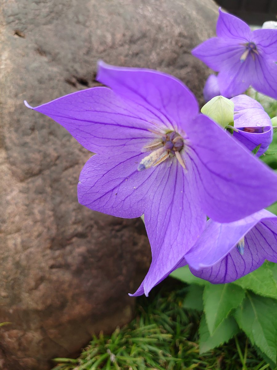 12月1日💚水曜日
上尾市4時現在気温7度☔
おはようございます
窓に雨があたる音で
目が覚めました
庭にも大きな水溜りが
出来てます。埼玉県に大雨
雷。そして強風の注意報
今日は仕事
気をつけて行きますね
【昔の写真から】