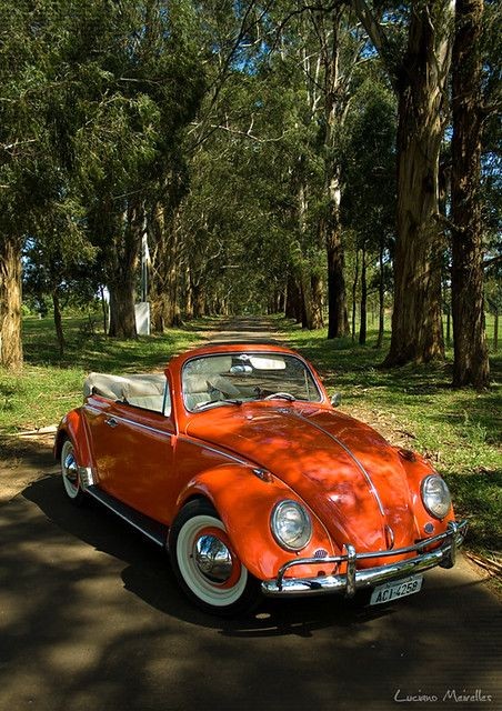 monamist75's tweet photo. Volkswagen Beetle 1962 https://t.co/RvvXgBNg0L