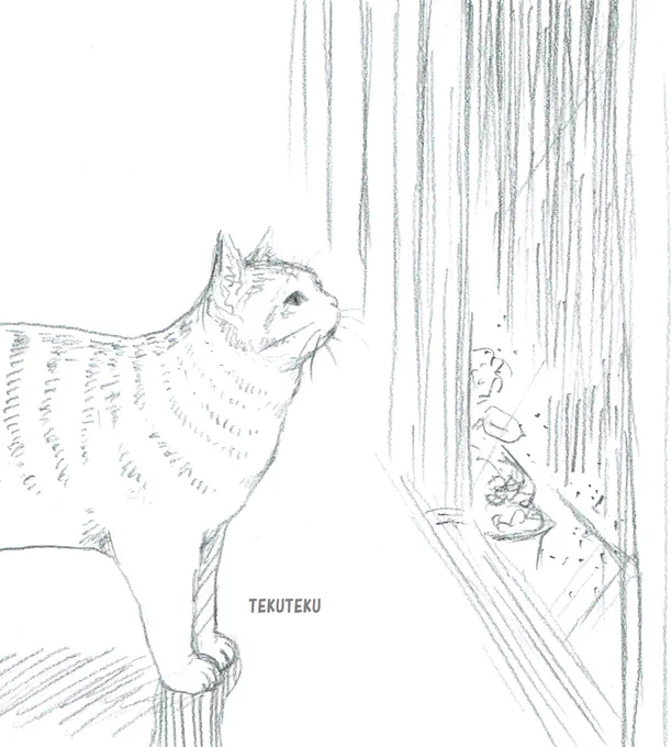 雨すごいにゃ 