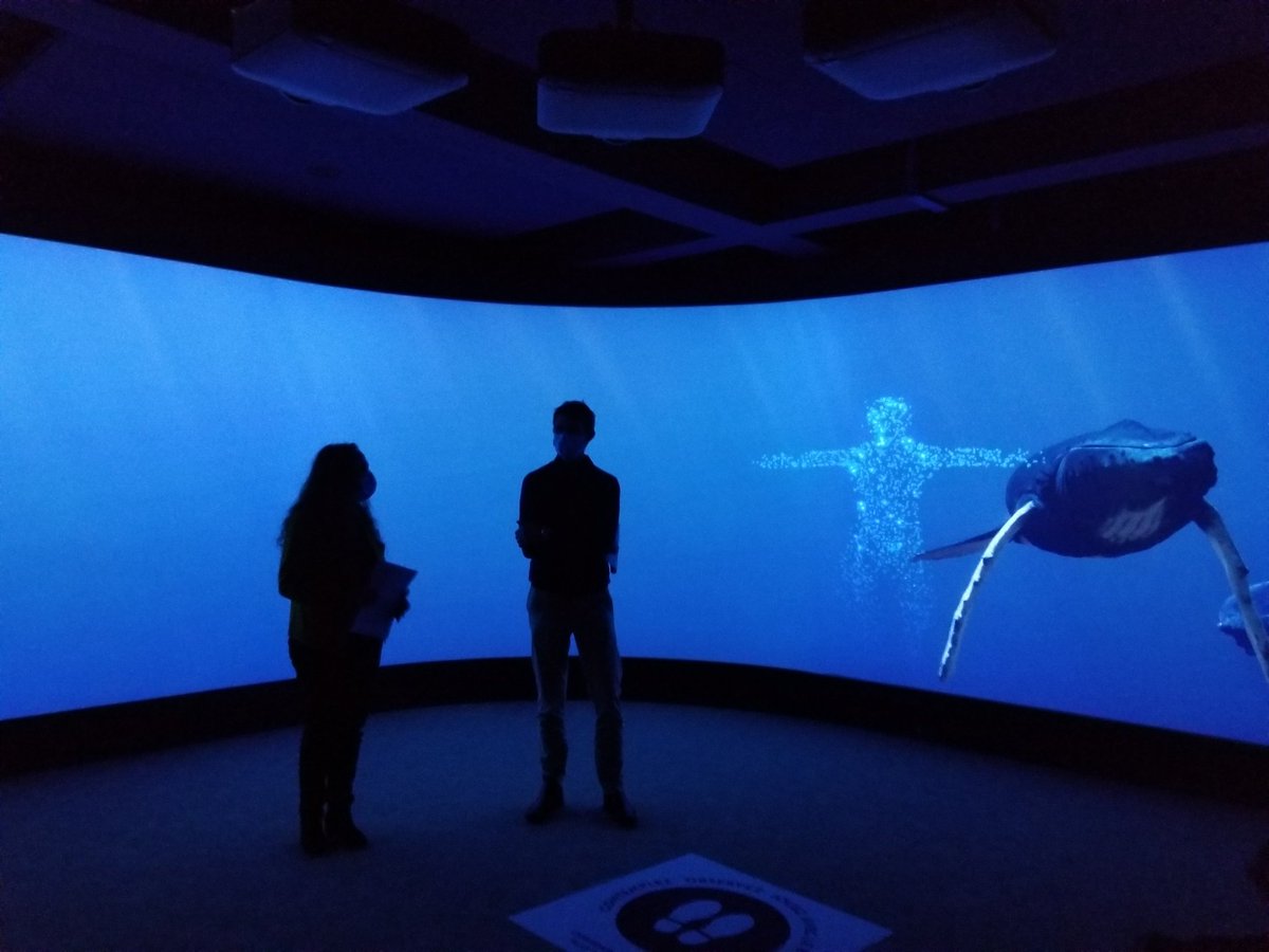 AirConstance's tweet photo. Ce soir, la délégation #Numixlab découvre l'expérience Mégacéta à @AquaPorteDoree développée par la compagnie 🍁 Créo, avec le soutien du @CMF_FMC_FR et @SATmontreal. #TalentCdn https://t.co/3rRrfCarqU