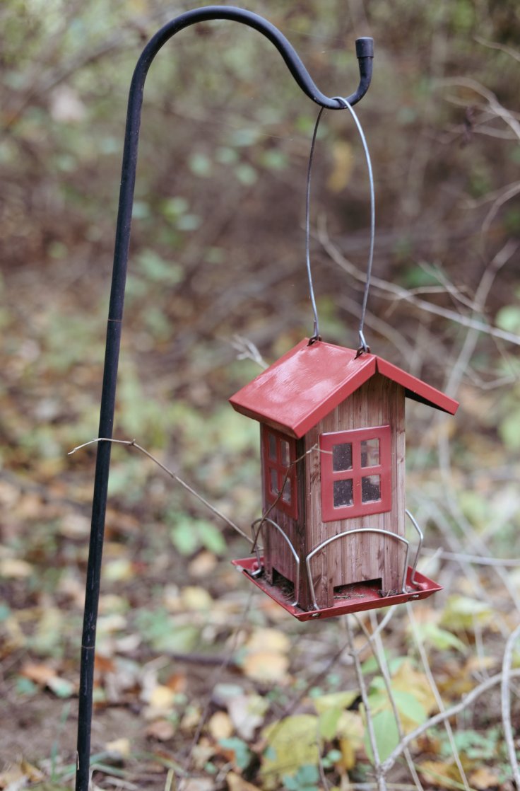 Virtue Cider tweet media