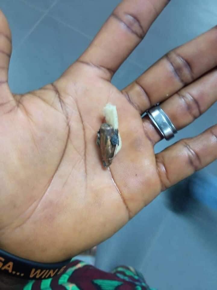 SaharaReporters's tweet photo. Family Seeks Justice As Lagos @PoliceNG Policeman Shoots Woman While Seeking Bribes, Threatens To Gun Down Husband For Complaining | Sahara Reporters https://t.co/SU3zFjaVhB https://t.co/I0G1IwbI3x
