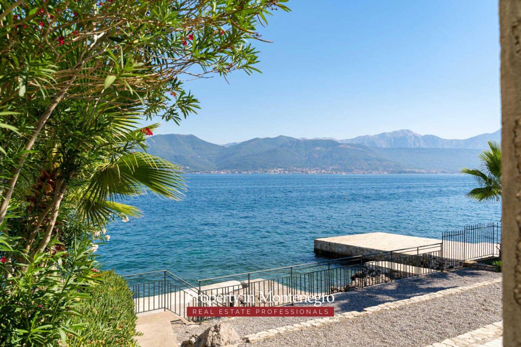 propertymne's tweet photo. Apartment FOR SALE in a seafront residential complex.🌞🏡
.
#montenegro #realtor #realestate #properties #propertybrothers #property #realestatelife 

More information at the link: https://t.co/m6HCQIzqOs https://t.co/KLC4Gxg06k