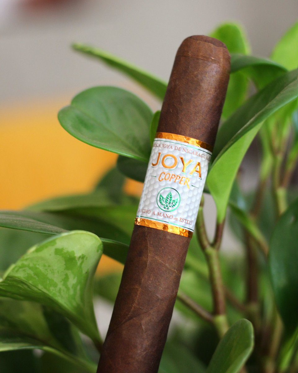 joyacigars's tweet photo. If you are looking for spicy and delicious notes of wood, brown sugar, earth, leather, and espresso, all within an assertive medium-full body that grows as you smoke it #JoyaCopper is the perfect choice💨

You can pair this smoke with a #Scotch🥃

Have you try this #cigar ?😎 https://t.co/TYEnR7fTKn