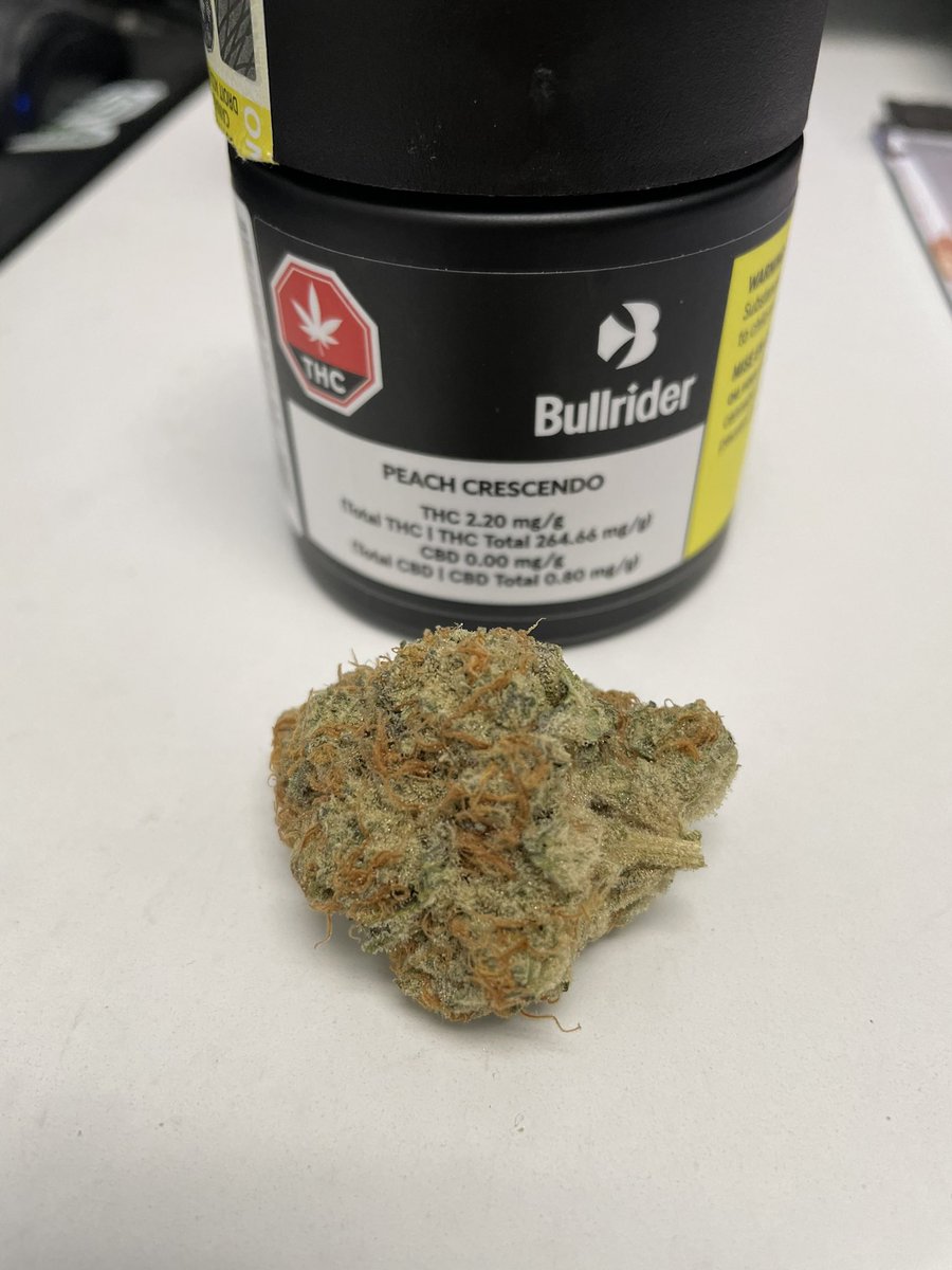 ThehereticOne's tweet photo. Quick Look: Peach Crescendo from Bullrider https://t.co/Rm5ULizSgf