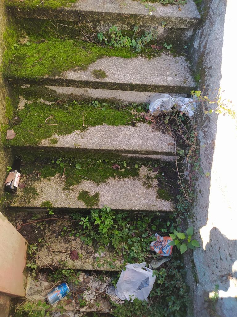 Marnotes tweet media