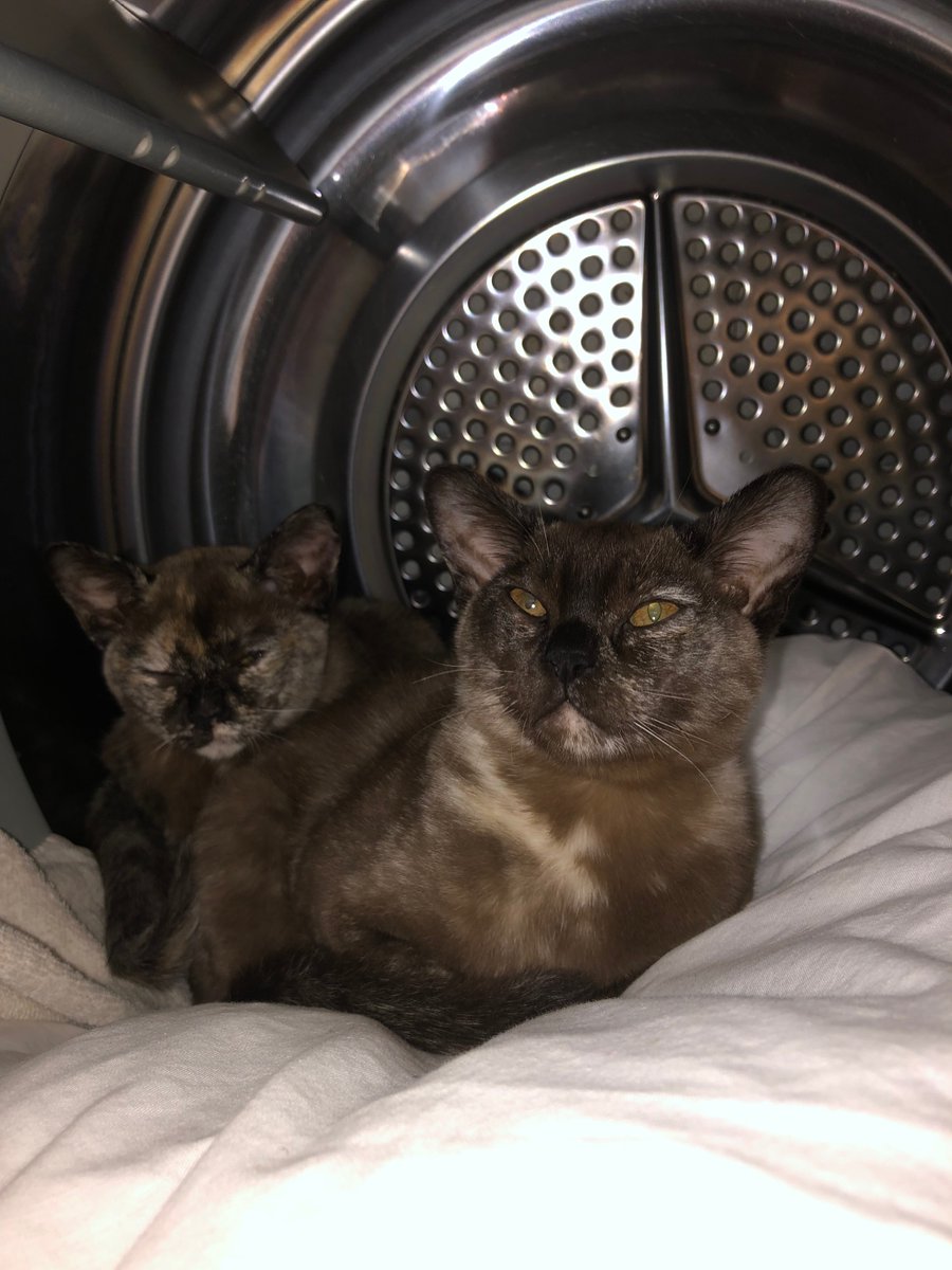 Just as well I didn't turn it on...