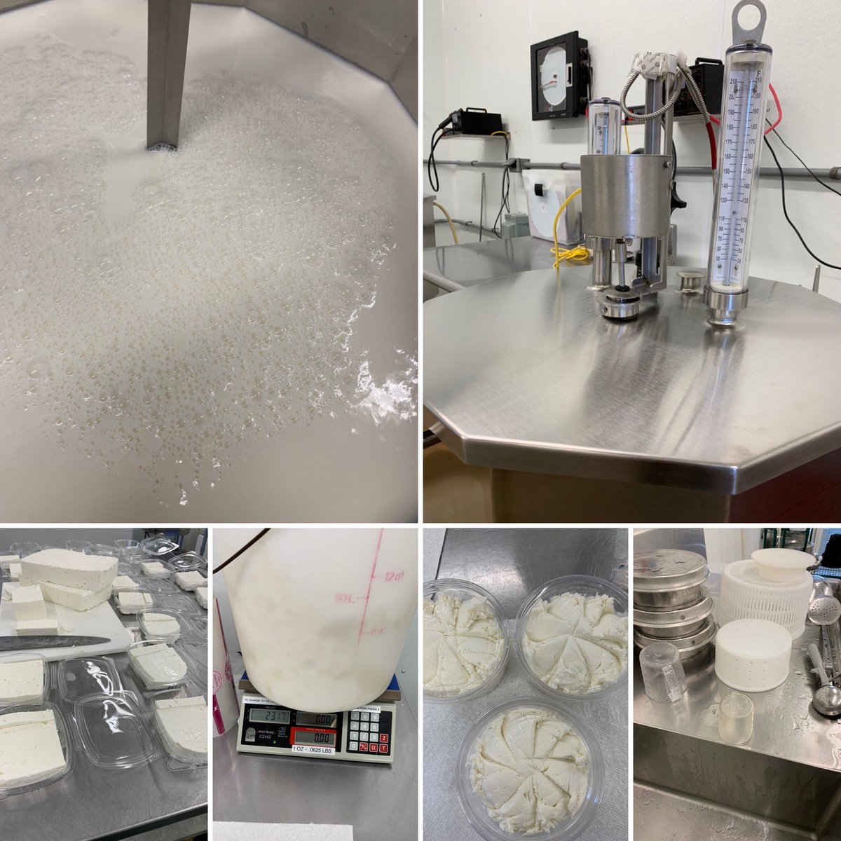 Singing Hills Dairy (@singinghillsmn) on Twitter photo 🌱🐐This lil cheese plant has cranked out tons 🏋️♀️of cheese over our 13 seasons.
🌱🐐12/4 & 18, 2021 at <a href="/MCFarmersMkt/">Mill City Farmers Market</a> will be our final markets until the business is sold & someone else picks up.
🌱🐐Come shop all the great vendors! Pre-order here: singing-hills-mn.com/s/order 🌱🐐This lil cheese plant has cranked out tons 🏋️♀️of cheese over our 13 seasons.
🌱🐐12/4 & 18, 2021 at <a href="/MCFarmersMkt/">Mill City Farmers Market</a> will be our final markets until the business is sold & someone else picks up.
🌱🐐Come shop all the great vendors! Pre-order here: singing-hills-mn.com/s/order
