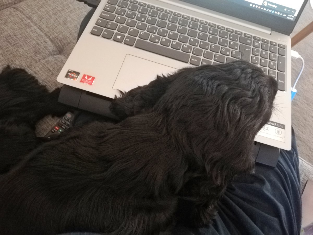 With as many changes as we’ve experienced in the past year, at least we can depend on one thing never changing — our trusted doggos. 🐶