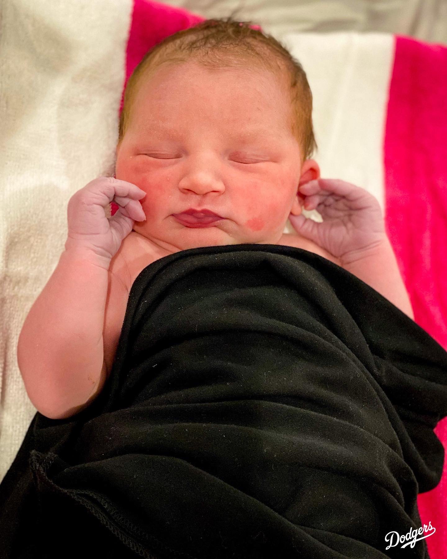 Los Angeles Dodgers on Twitter to the world, Caiden Carter