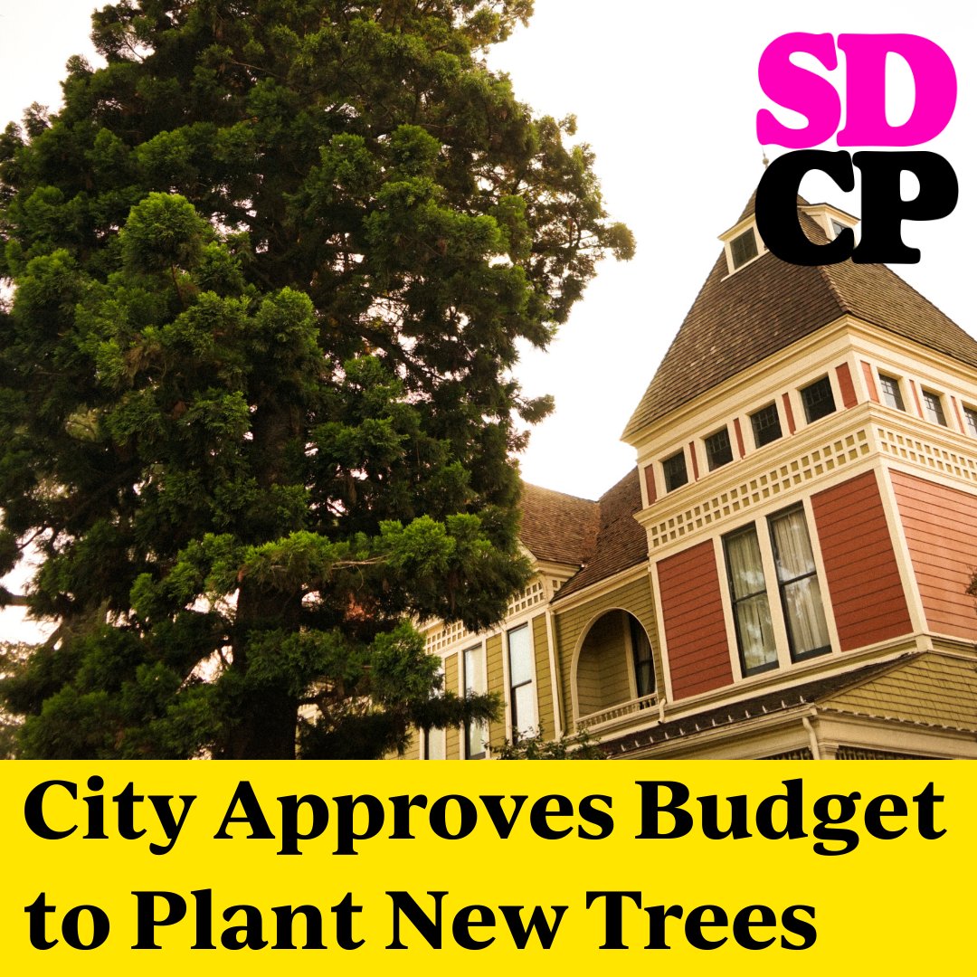 SDCPost's tweet image. San Dimas City Council approved a total tree-planting budget of just $20,000 for the 2021-2022 fiscal year. This amount was a dramatic drop from $110,000 allocated for each of the previous two years.

Read more: sandimascommunitypost.com/san-dimas-appr…

#sdcp #sandimas #treecity #budget