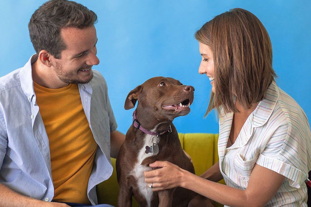 We all think, feel, have opinions, &amp; communicate– imagine the potential for the human/animal bond when we break down the language barrier. Teaching your dog words gives you this tremendous opportunity to learn more about her. buff.ly/2YouNyB #dogmentalhealth