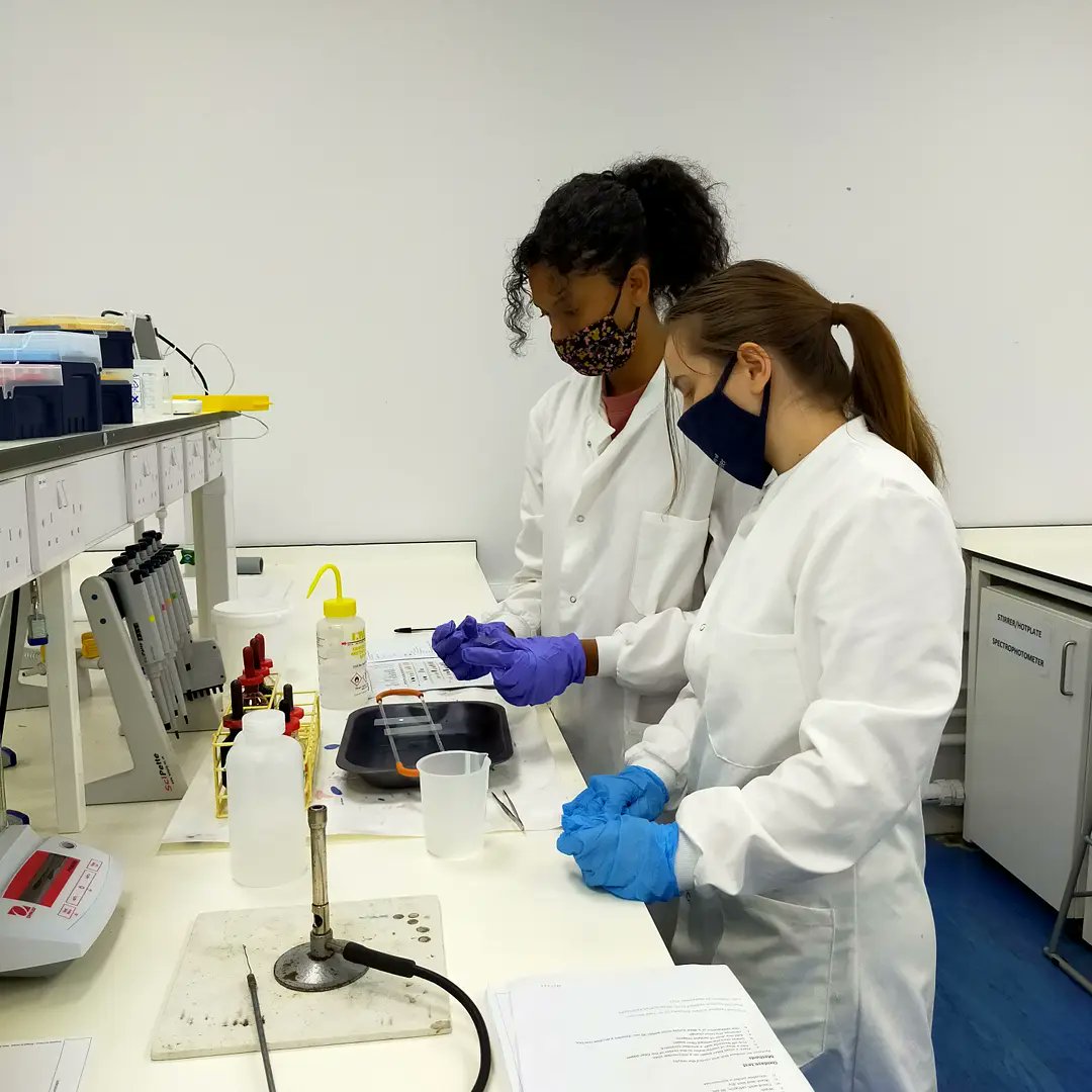 UoCMedSci's tweet photo. Congratulations #MD5028 students on completing your Advanced #Microbiology practical series today! 

Thank you @NaviPalanisamy @KristinaRandle5 and Dr Ioanna Myrtziou-Kanaki! 

What is your new favorite technique you learned? Let us know in the replies.
@uochester #CMSTechTeam https://t.co/xFYvoDINM0