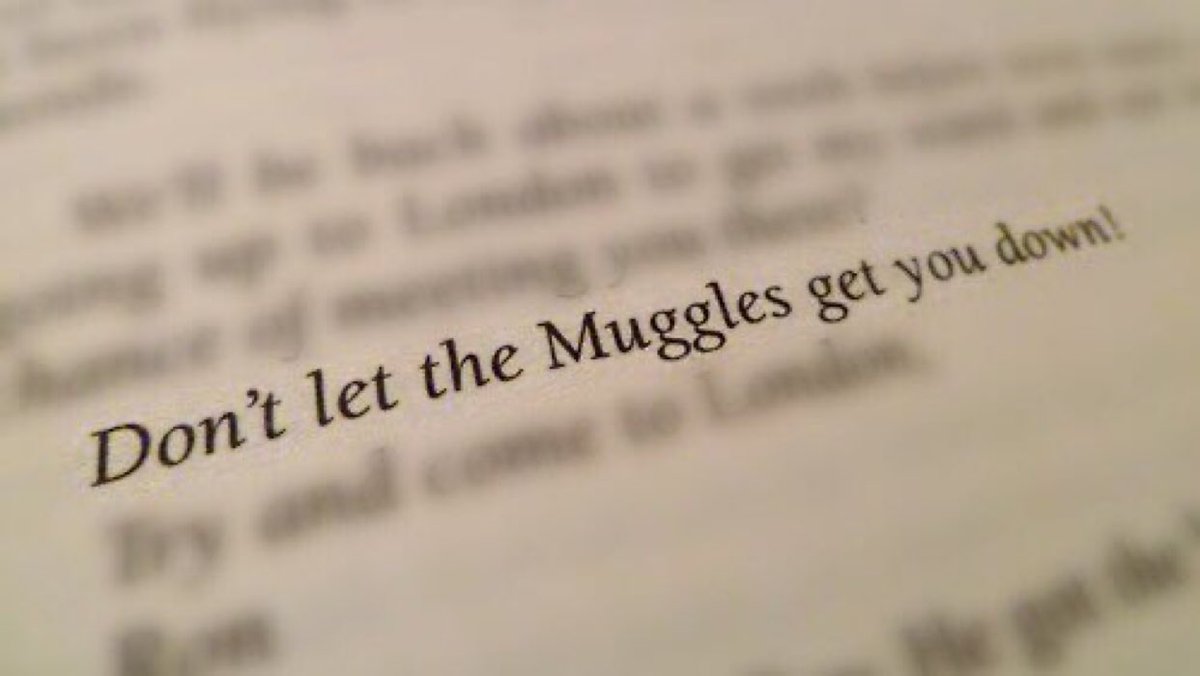 HPotterUniverse's tweet photo. “Don’t let the Muggles get you down.” https://t.co/HyEJydTvBE