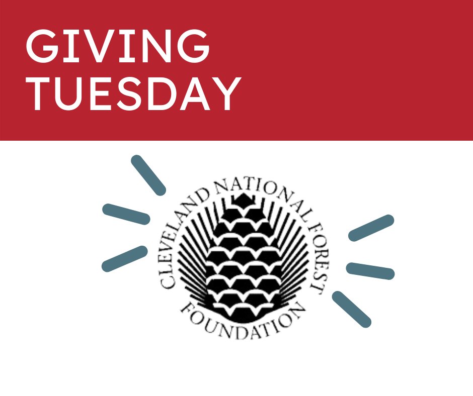 This #GivingTuesday2021, support our ongoing work the protect the Cleveland National Forest at cnff.org!