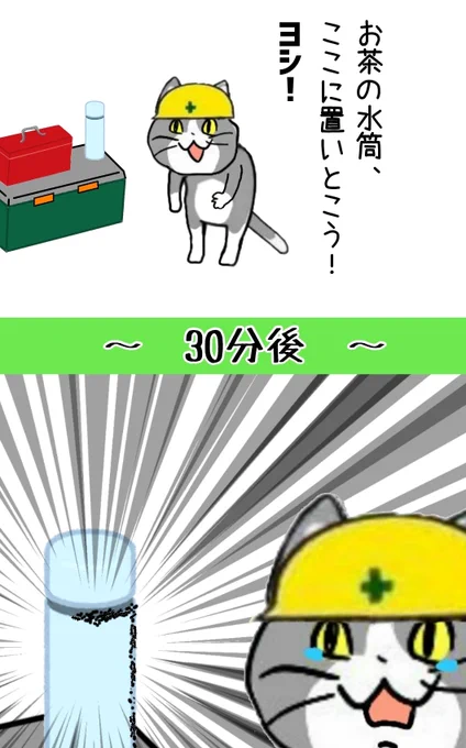 お茶にも蟻がたかることを知った日 #現場猫 