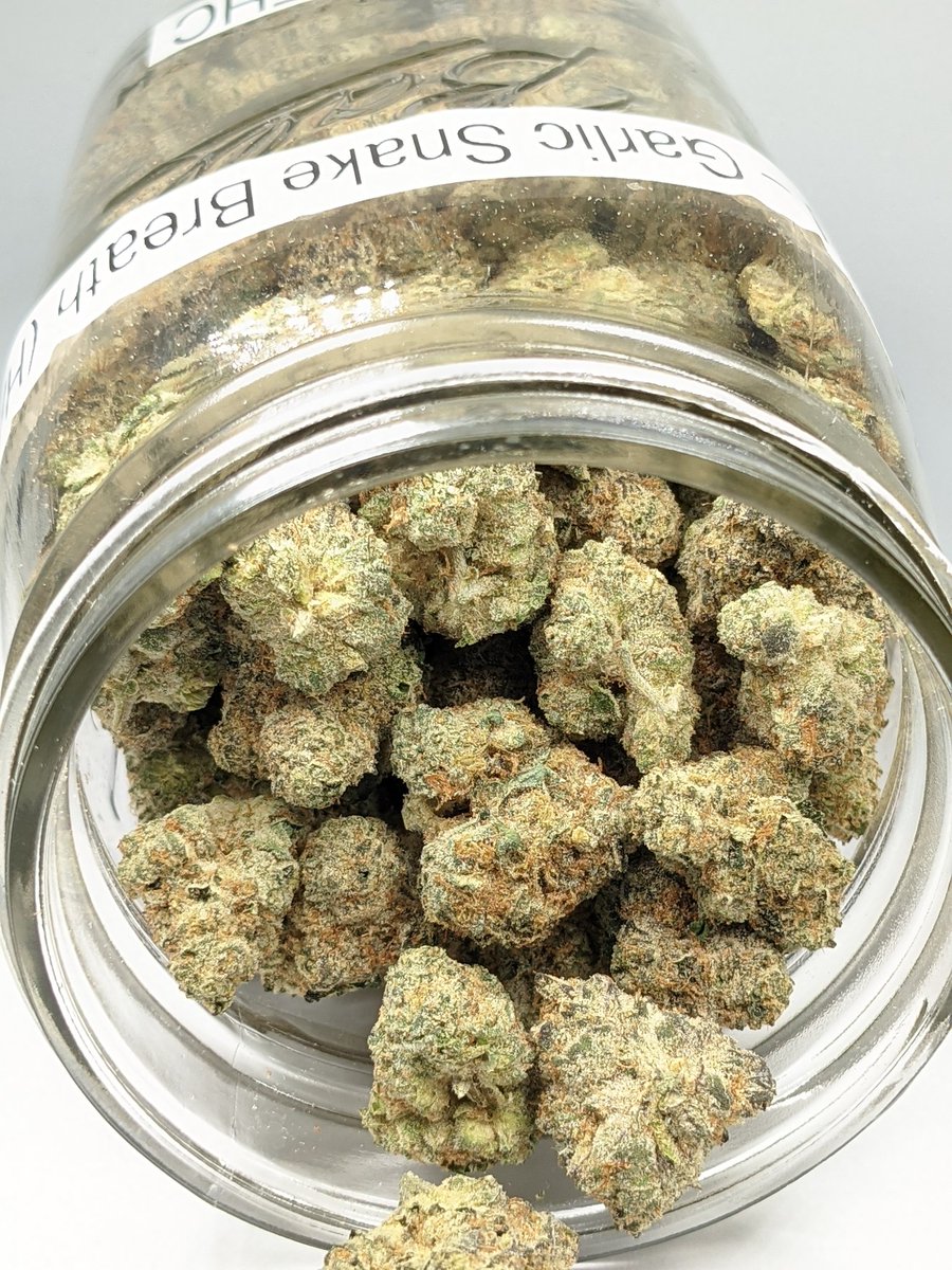 northcoastjv's tweet photo. Ask your budtender about the Garlic Snake Breath from #lightskyfarms
#annarbor #michigan #lightskyfarms #northcoastprovisions #arborside https://t.co/pf0LDiXEfr