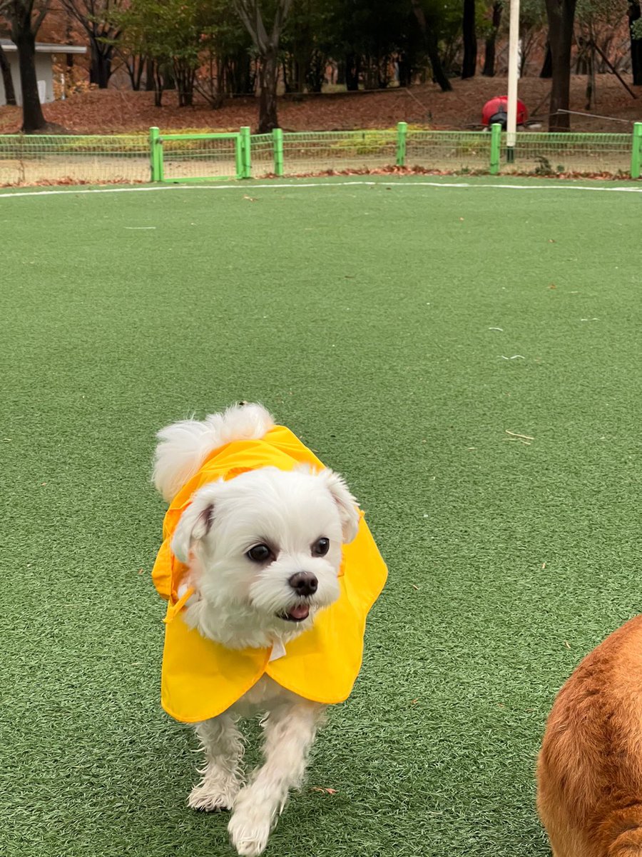 co_O315's tweet photo. 비 온 뒤 산책은 즐거워🤩 https://t.co/JLzGJCv0u7