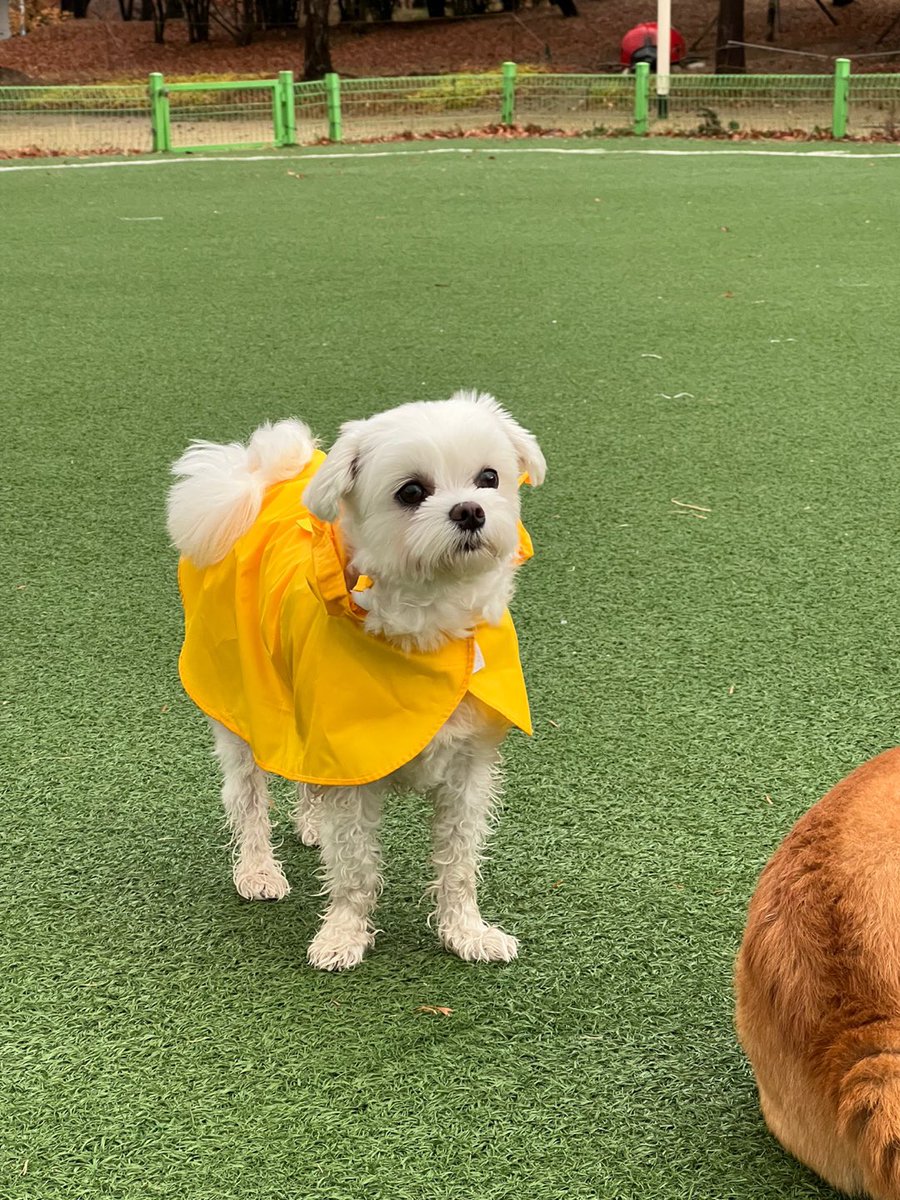 co_O315's tweet photo. 비 온 뒤 산책은 즐거워🤩 https://t.co/JLzGJCv0u7