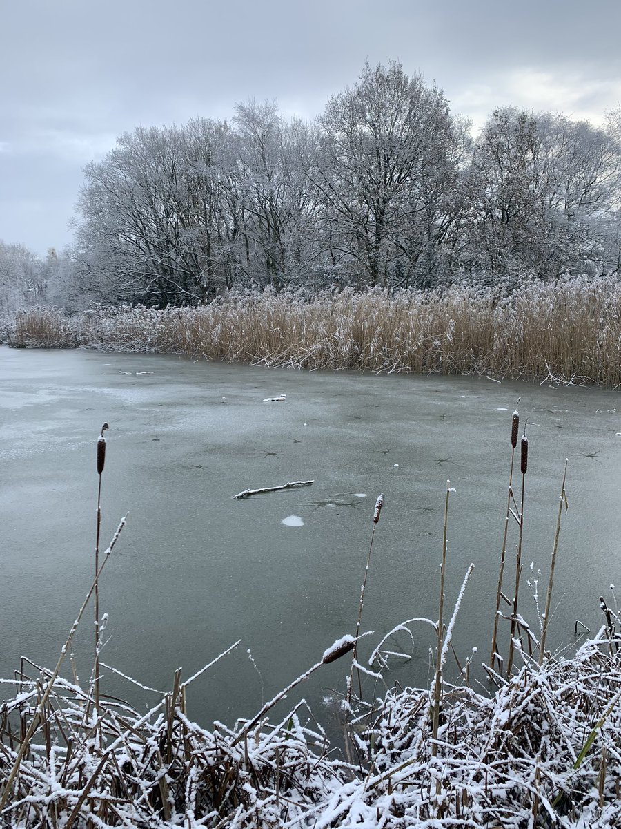 ClaireDale's tweet photo. Wishing I had brought my ice pick and my swimming costume 🥶 💦 #coldwaterswimming #coldwater https://t.co/ihbZEHa8r4