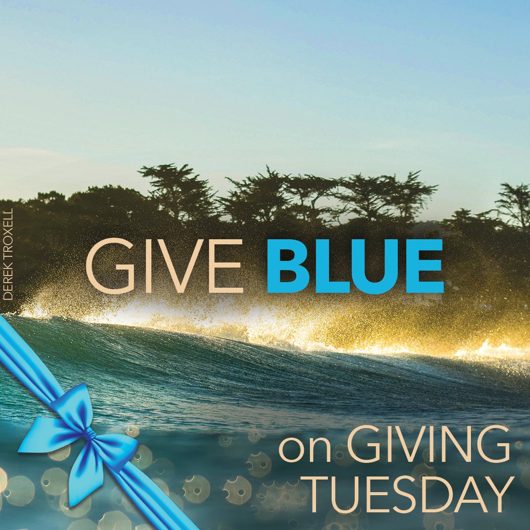 SaveOurShores's tweet photo. When you give through #SantaCruzGives and #MontereyCountyGives, your #GivingTuesday gifts will be matched to help us protect our shared future. 
Give BLUE through Santa Cruz Gives
https://t.co/VGZARmnxsz
Give BLUE through Monterey County Gives
https://t.co/clnI359lJm https://t.co/WzWMZ3dkfC