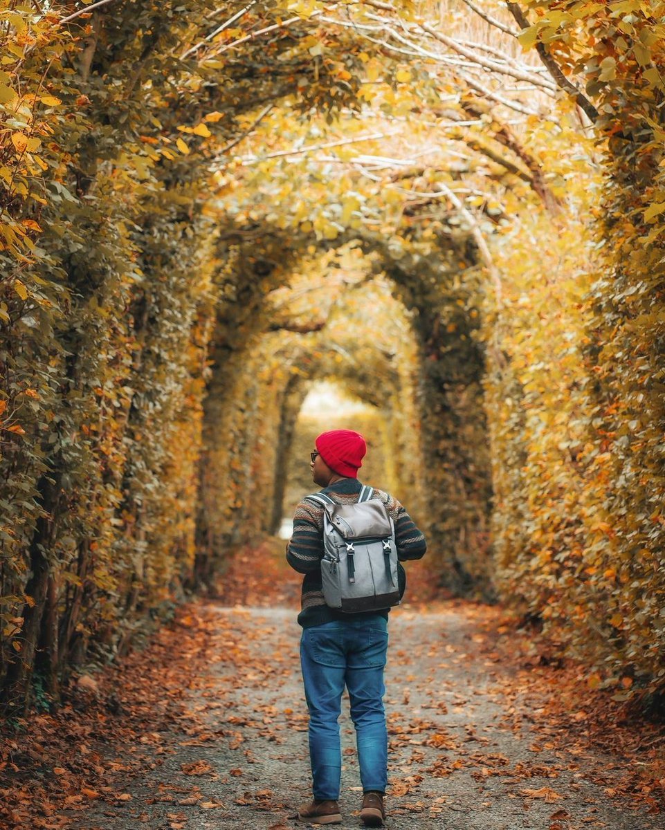 🍂🍁🍂🍁 by @aris.setya
According to the comments, this place is in Dinant, in case anyone wants to take a look. 😉

#tarion #tarionworld
#autumn #fall #automne #november #musimgugur #belgia #belgique #belgium #depthsofearth #ourplanetdaily #exploreourearth #theearthoutdoors