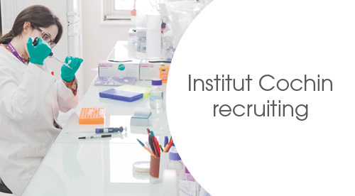InstitutCochin's tweet photo. @InstitutCochin recruits a post-doc in the team Catherine Postic @postic20. #Hepatic nuclear receptor networks controlling responses to #nutritional challenges
https://t.co/m8fvIvaBtf https://t.co/Qk8wNcEbuc